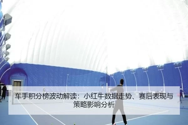 che-shou-ji-fen-bang-bo-dong-jie-du-xiao-hong-niu-shu-ju-zou-shi-sai-hou-biao-xian-yu-ce-lve-ying-xiang-fen-xi-2-527.jpg